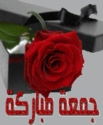 احبك لانك منى ..... 458341